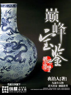 《巅峰宝鉴》作者:夜泊人
