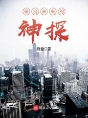 《来自未来的神探》作者:跑盘