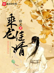 《乘龙佳婿》作者:府天