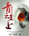 《重生之青云直上(重生之官场鬼才)》作者:浪子边城