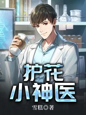 《护花神医在都市》作者：雪糕