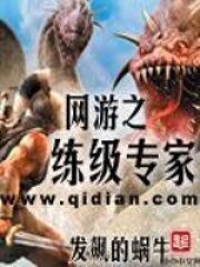 《网游之练级专家》作者:发飙的蜗牛