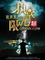 《执掌无限》作者:o花开无月o