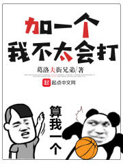 《加一个,我不太会打》作者:葛洛夫街兄弟
