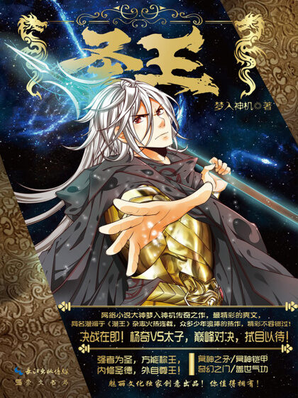 《圣王》作者:梦入神机