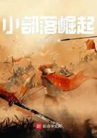 《小部落崛起》作者:君在霸上