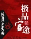 《极品官途》作者:随着风启航