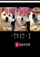 《我的神灵能加点》作者:小愁也是愁