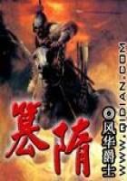 《篡隋》作者:风华爵士