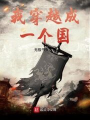 《我穿越成一个国》作者:无极书虫