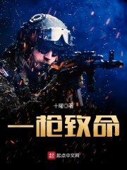 《一枪致命》作者:十曜