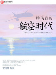 《腾飞我的航空时代》作者:安溪柚