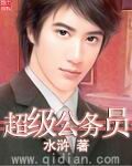 《超级公务员》作者:水浒