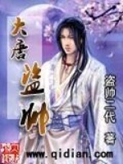 《大唐盗帅》作者:盗帅二代