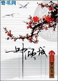《一叶倾城》作者:紫夜未央