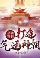 《皇朝签到,打造气运神朝!》作者:夜小风