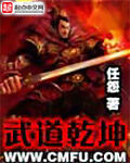《武道乾坤》作者:任怨