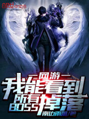 《我能看到所有BOSS掉落》作者:南边雨落