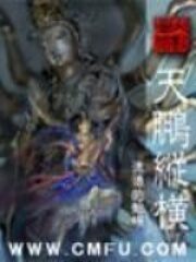 《天鹏纵横》作者:流浪的蛤蟆
