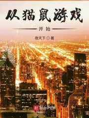 《从猫鼠游戏开始》作者:夜天下