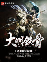 《大明铁骨》作者:无语的命运