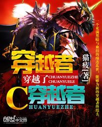 《穿越者穿越了穿越者》作者:猫疲