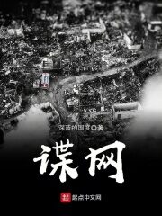 《谍网》作者:深蓝的国度