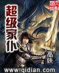 《超级家仆》作者:高铁