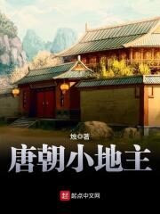 《唐朝小地主》作者:烛