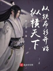 《纵横天下从铁布衫开始》作者:再入江湖