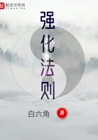 《强化法则》作者：白六角