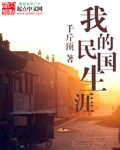《我的民国生涯》作者:千斤顶