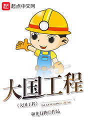《大国工程》作者:和光万物