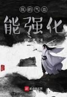 《我的气血能强化》作者:城南一覇