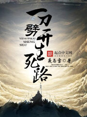 《一刀劈开生死路》作者:夜与雪