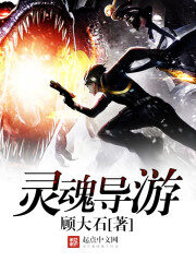 《灵魂导游》作者:顾大石