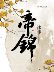 《帝锦》作者:沐非