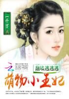 《翻墙逃逃逃：萌物小王妃》作者：一千万