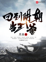 《回到明朝当王爷》作者:月关