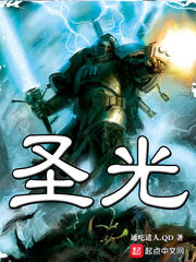 《圣光》作者:通吃道人