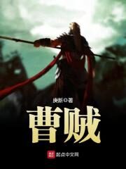 《曹贼》作者:庚新