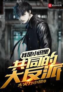 《我是小说里共同的大反派》作者:大火力小铳
