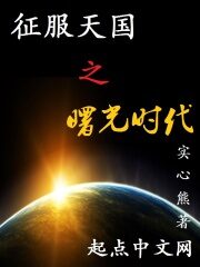《征服天国之曙光时代》作者:实心熊