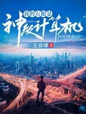 《我的右眼是神级计算机》作者:王自律