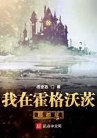 《我在霍格沃茨那些年》作者:虚空志