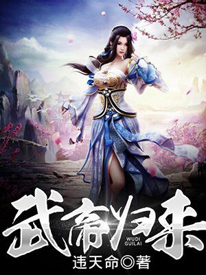 《武帝归来》作者：违天命