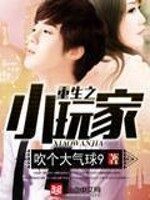 《重生之小玩家》作者:吹个大气球9