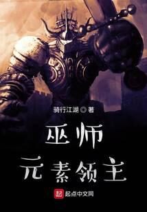 《巫师:元素领主》作者:骑行江湖