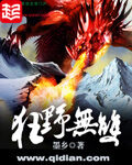 《狂野无双》作者:墨乡