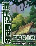 《混在法师世界》作者:黑暗骑士殿